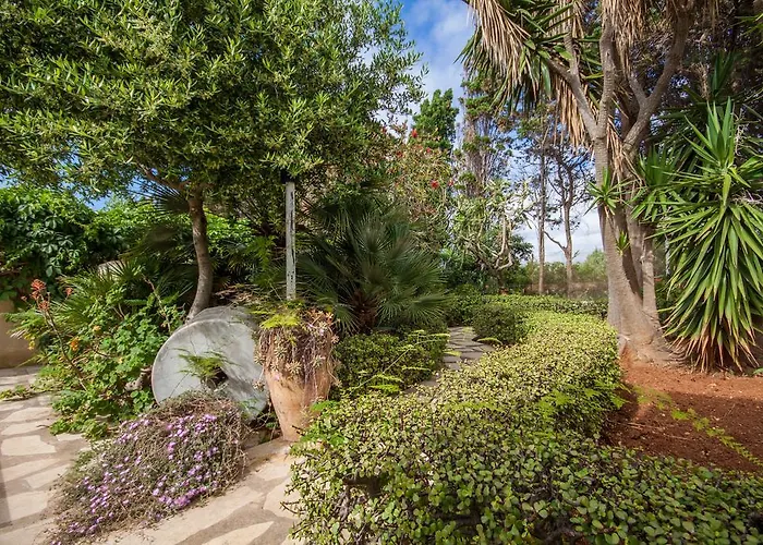 Conchiglia Valderice